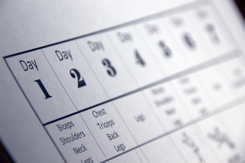 Workout Daily Routine Plan